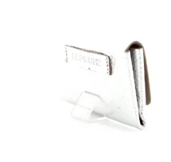 Credit Card Silver