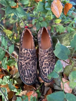 Leopard Ruskinds Loafers